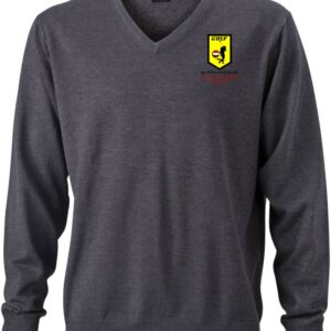 Herren V-Neck Pullover